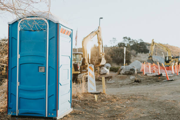 Best Affordable portable toilet rental  in Mchenry, IL